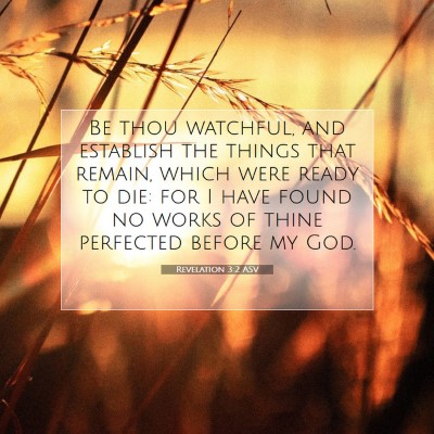 Picture 07 - Revelation 3:2 ASV - Be thou watchful, and establish the things that - Bible Verse Picture