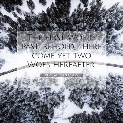 Picture 07 - Revelation 9:12 ASV - The first Woe is past: behold, there come yet two - Bible Verse Picture