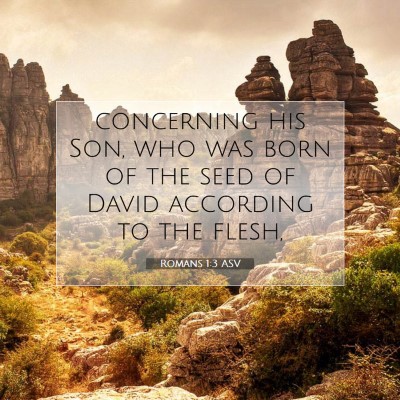 Picture 07 - Romans 1:3 ASV - concerning his Son, who was born of the seed of - Bible Verse Picture
