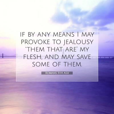 Picture 07 - Romans 11:14 ASV - if by any means I may provoke to jealousy `them - Bible Verse Picture