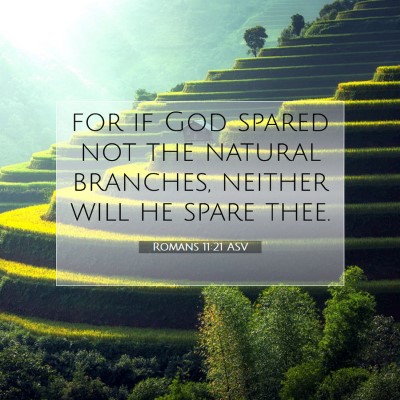 Picture 07 - Romans 11:21 ASV - for if God spared not the natural branches, - Bible Verse Picture
