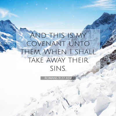 Picture 07 - Romans 11:27 ASV - And this is my covenant unto them, When I shall - Bible Verse Picture