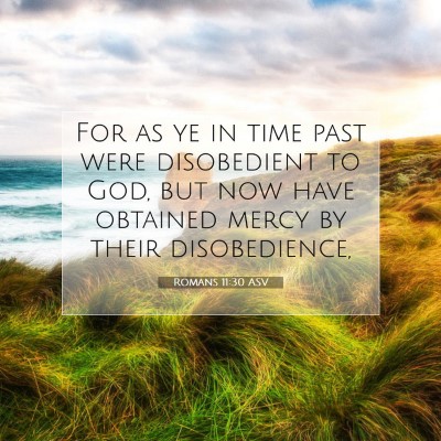 Picture 07 - Romans 11:30 ASV - For as ye in time past were disobedient to God, - Bible Verse Picture