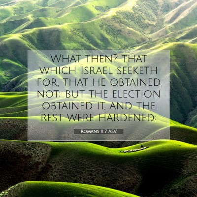 Picture 07 - Romans 11:7 ASV - What then? that which Israel seeketh for, that he - Bible Verse Picture