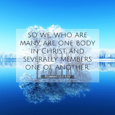 Picture 07 - Romans 12:5 ASV - so we, who are many, are one body in Christ, and - Bible Verse Picture