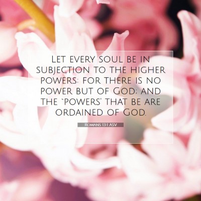 Picture 07 - Romans 13:1 ASV - Let every soul be in subjection to the higher - Bible Verse Picture
