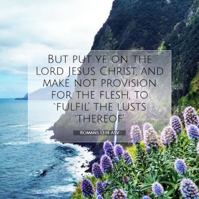 Picture 07 - Romans 13:14 ASV - But put ye on the Lord Jesus Christ, and make not - Bible Verse Picture