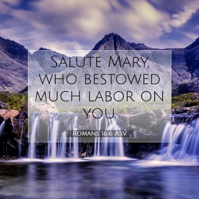 Picture 07 - Romans 16:6 ASV - Salute Mary, who bestowed much labor on - Bible Verse Picture