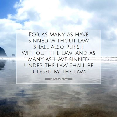 Picture 07 - Romans 2:12 ASV - For as many as have sinned without law shall also - Bible Verse Picture