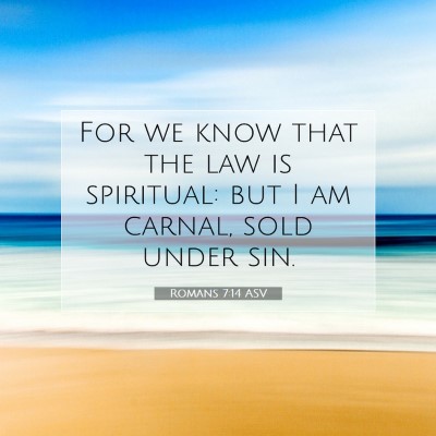 Picture 07 - Romans 7:14 ASV - For we know that the law is spiritual: but I am - Bible Verse Picture