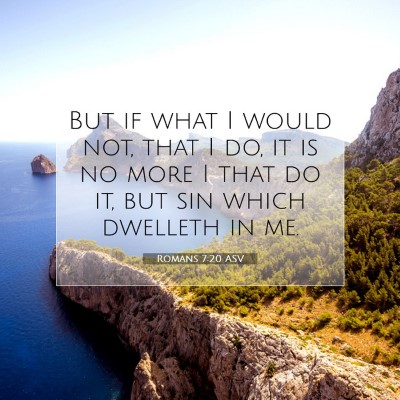 Picture 07 - Romans 7:20 ASV - But if what I would not, that I do, it is no more - Bible Verse Picture