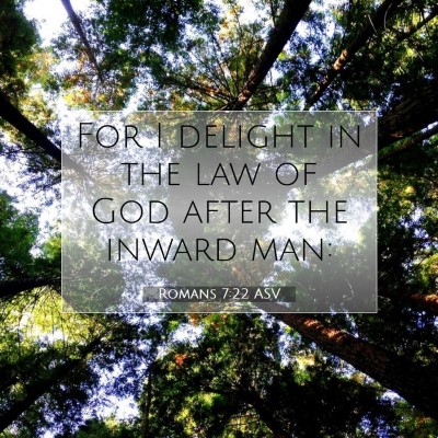 Picture 07 - Romans 7:22 ASV - For I delight in the law of God after the inward - Bible Verse Picture