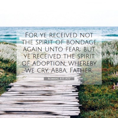 Picture 07 - Romans 8:15 ASV - For ye received not the spirit of bondage again - Bible Verse Picture