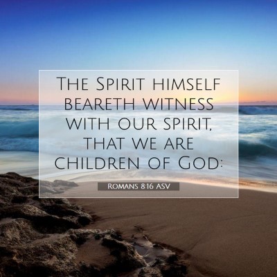 Picture 07 - Romans 8:16 ASV - The Spirit himself beareth witness with our - Bible Verse Picture