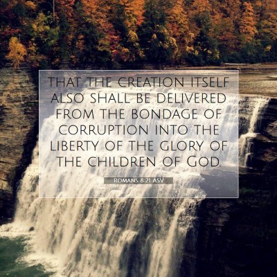 Picture 07 - Romans 8:21 ASV - that the creation itself also shall be delivered - Bible Verse Picture