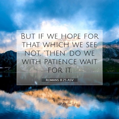 Picture 07 - Romans 8:25 ASV - But if we hope for that which we see not, `then' - Bible Verse Picture