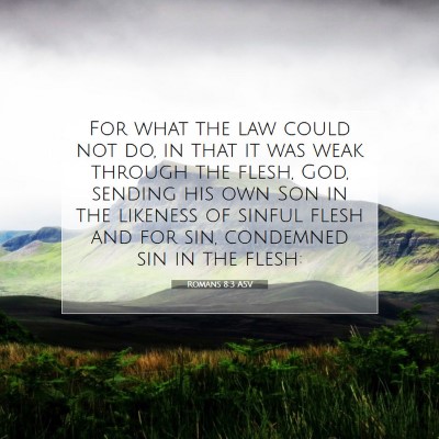 Picture 07 - Romans 8:3 ASV - For what the law could not do, in that it was - Bible Verse Picture