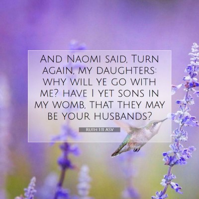 Picture 07 - Ruth 1:11 ASV - And Naomi said, Turn again, my daughters: why - Bible Verse Picture