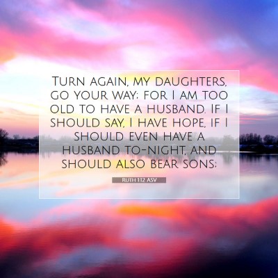 Picture 07 - Ruth 1:12 ASV - Turn again, my daughters, go your way; for I am - Bible Verse Picture