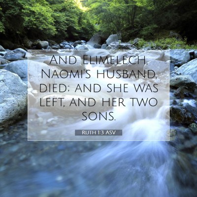 Picture 07 - Ruth 1:3 ASV - And Elimelech, Naomi's husband, died; and she was - Bible Verse Picture