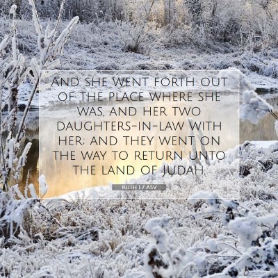 Picture 07 - Ruth 1:7 ASV - And she went forth out of the place where she - Bible Verse Picture