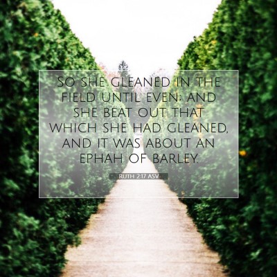 Picture 07 - Ruth 2:17 ASV - So she gleaned in the field until even; and she - Bible Verse Picture