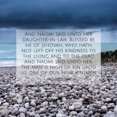 Picture 07 - Ruth 2:20 ASV - And Naomi said unto her daughter-in-law, Blessed - Bible Verse Picture