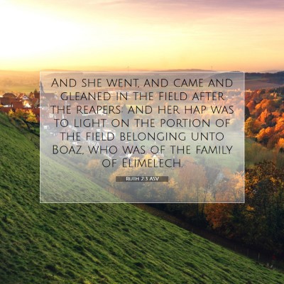 Picture 07 - Ruth 2:3 ASV - And she went, and came and gleaned in the field - Bible Verse Picture