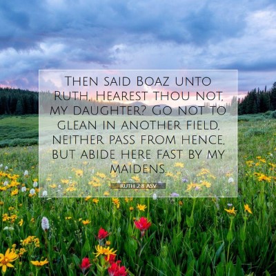 Picture 07 - Ruth 2:8 ASV - Then said Boaz unto Ruth, Hearest thou not, my - Bible Verse Picture