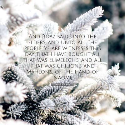 Picture 07 - Ruth 4:9 ASV - And Boaz said unto the elders, and unto all the - Bible Verse Picture