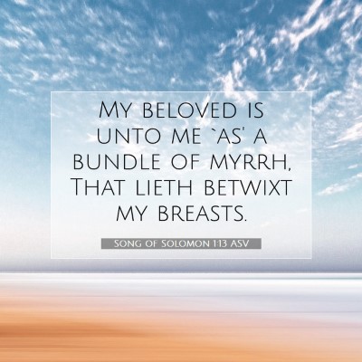 Picture 07 - Song of Solomon 1:13 ASV - My beloved is unto me `as' a bundle of myrrh, - Bible Verse Picture