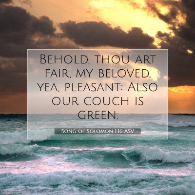 Picture 07 - Song of Solomon 1:16 ASV - Behold, thou art fair, my beloved, yea, pleasant: - Bible Verse Picture