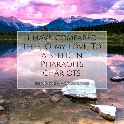 Picture 07 - Song of Solomon 1:9 ASV - I have compared thee, O my love, To a steed in - Bible Verse Picture
