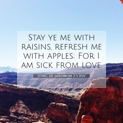 Picture 07 - Song of Solomon 2:5 ASV - Stay ye me with raisins, refresh me with apples; - Bible Verse Picture