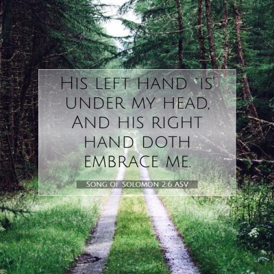 Picture 07 - Song of Solomon 2:6 ASV - His left hand `is' under my head, And his right - Bible Verse Picture