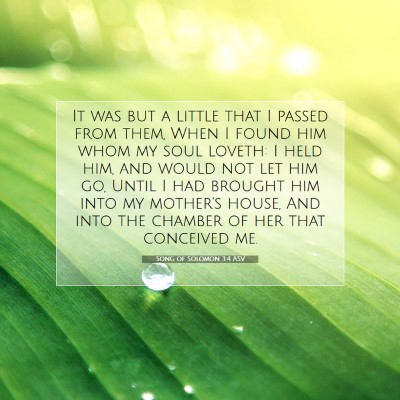 Picture 07 - Song of Solomon 3:4 ASV - It was but a little that I passed from them, When - Bible Verse Picture