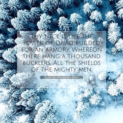 Picture 07 - Song of Solomon 4:4 ASV - Thy neck is like the tower of David builded for - Bible Verse Picture