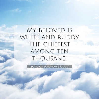 Picture 07 - Song of Solomon 5:10 ASV - My beloved is white and ruddy, The chiefest among - Bible Verse Picture