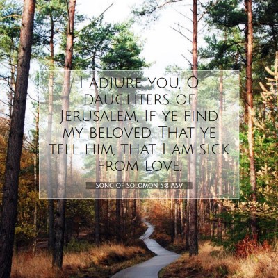 Picture 07 - Song of Solomon 5:8 ASV - I adjure you, O daughters of Jerusalem, If ye - Bible Verse Picture