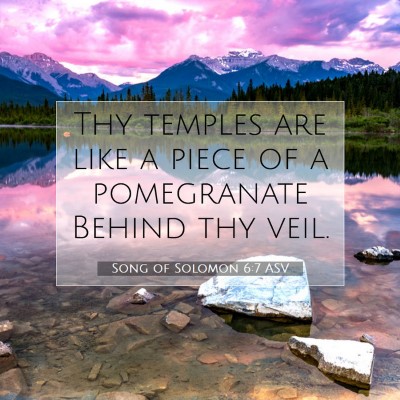 Picture 07 - Song of Solomon 6:7 ASV - Thy temples are like a piece of a pomegranate - Bible Verse Picture