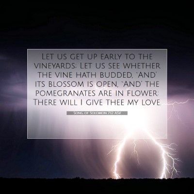 Picture 07 - Song of Solomon 7:12 ASV - Let us get up early to the vineyards; Let us see - Bible Verse Picture