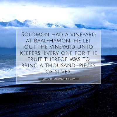 Picture 07 - Song of Solomon 8:11 ASV - Solomon had a vineyard at Baal-hamon; He let out - Bible Verse Picture