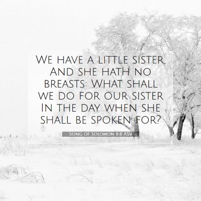 Picture 07 - Song of Solomon 8:8 ASV - We have a little sister, And she hath no breasts: - Bible Verse Picture