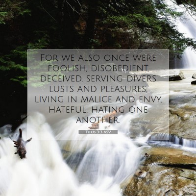 Picture 07 - Titus 3:3 ASV - For we also once were foolish, disobedient, - Bible Verse Picture