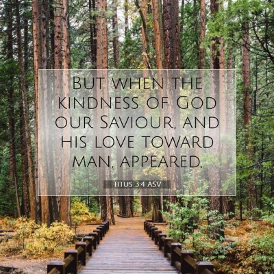 Picture 07 - Titus 3:4 ASV - But when the kindness of God our Saviour, and his - Bible Verse Picture