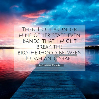 Picture 07 - Zechariah 11:14 ASV - Then I cut asunder mine other staff, even Bands, - Bible Verse Picture