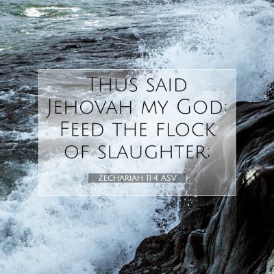 Picture 07 - Zechariah 11:4 ASV - Thus said Jehovah my God: Feed the flock of - Bible Verse Picture