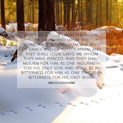 Picture 07 - Zechariah 12:10 ASV - And I will pour upon the house of David, and upon - Bible Verse Picture