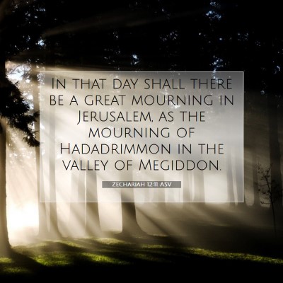 Picture 07 - Zechariah 12:11 ASV - In that day shall there be a great mourning in - Bible Verse Picture