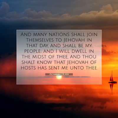 Picture 07 - Zechariah 2:11 ASV - And many nations shall join themselves to Jehovah - Bible Verse Picture